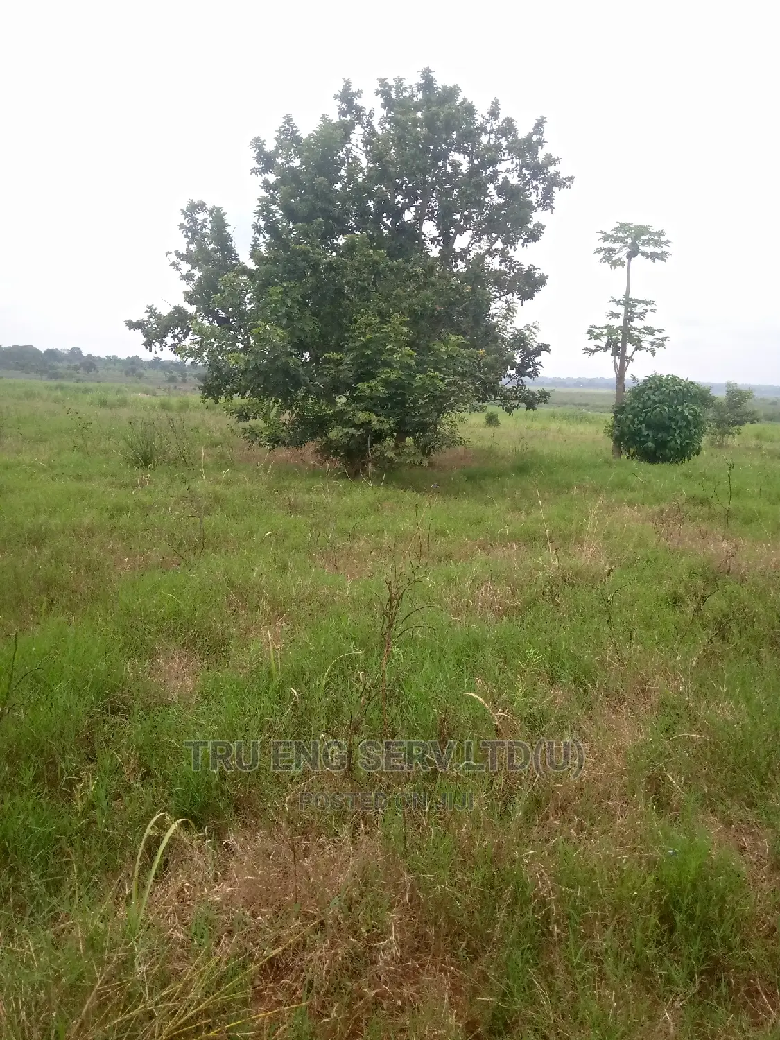 500 Acres With Land Title for Sale