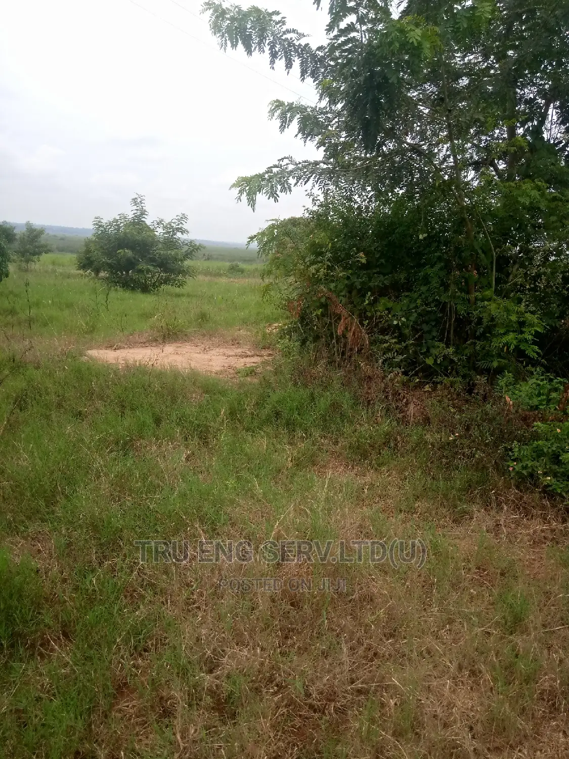 500 Acres With Land Title for Sale