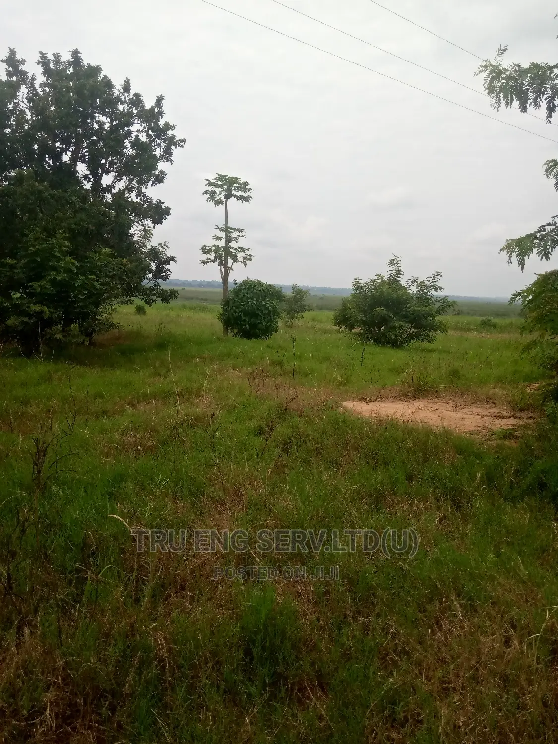 500 Acres With Land Title for Sale