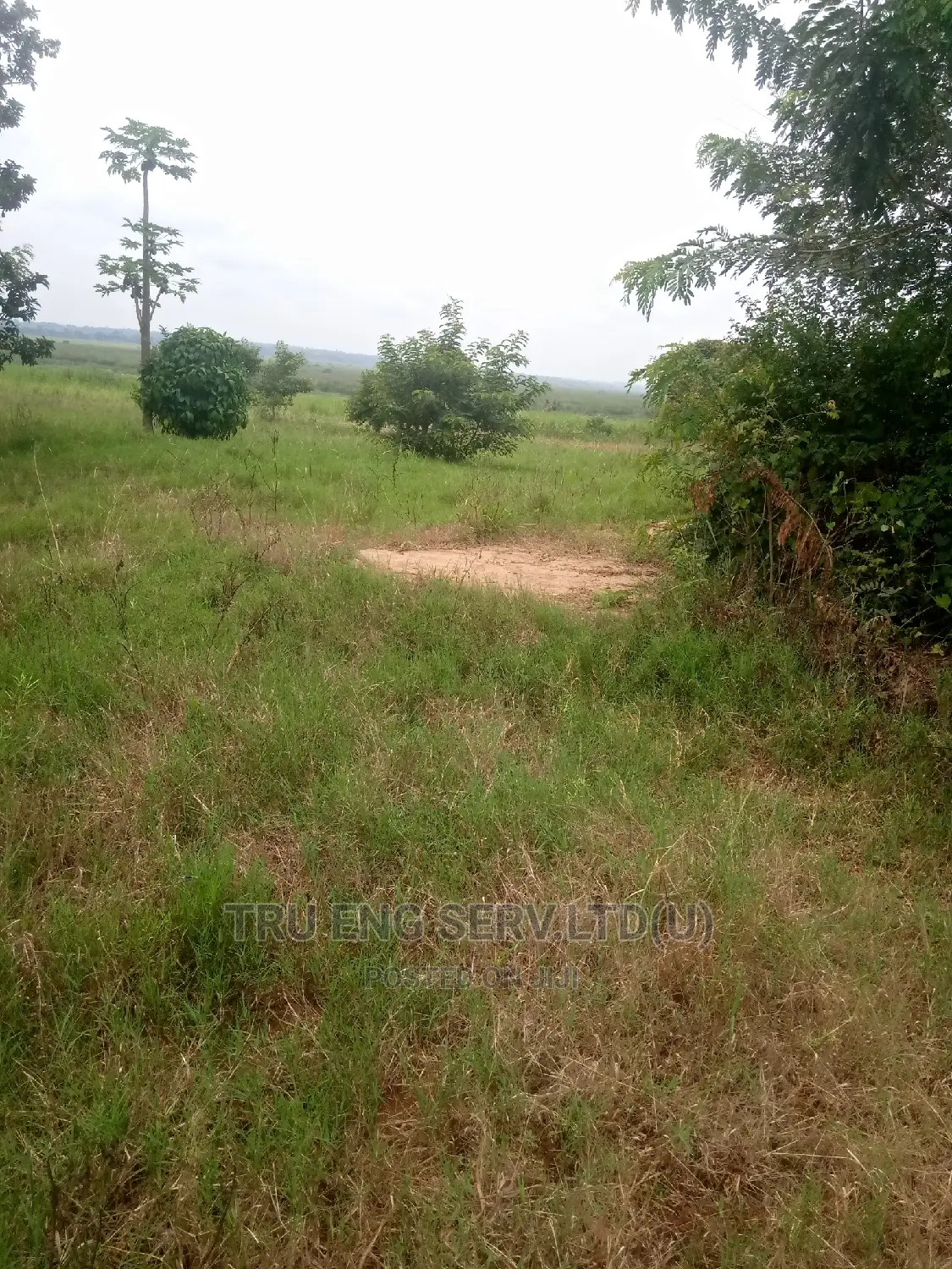 500 Acres With Land Title for Sale