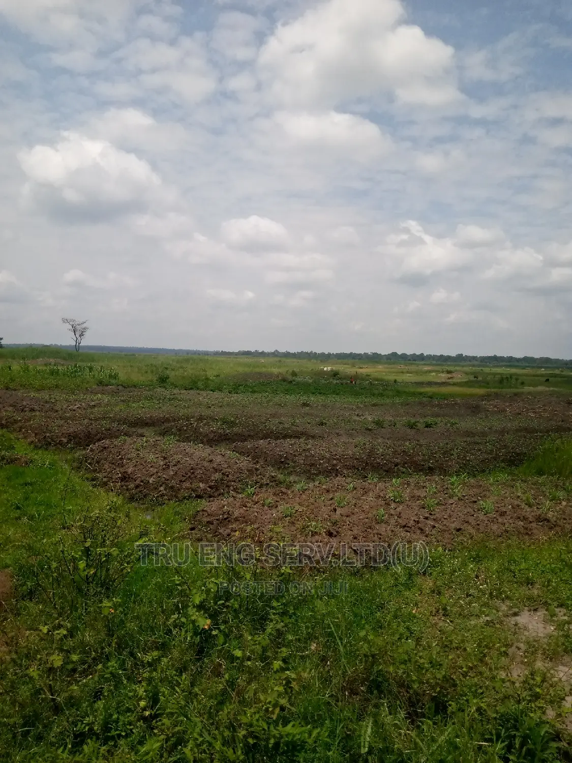 500 Acres With Land Title for Sale