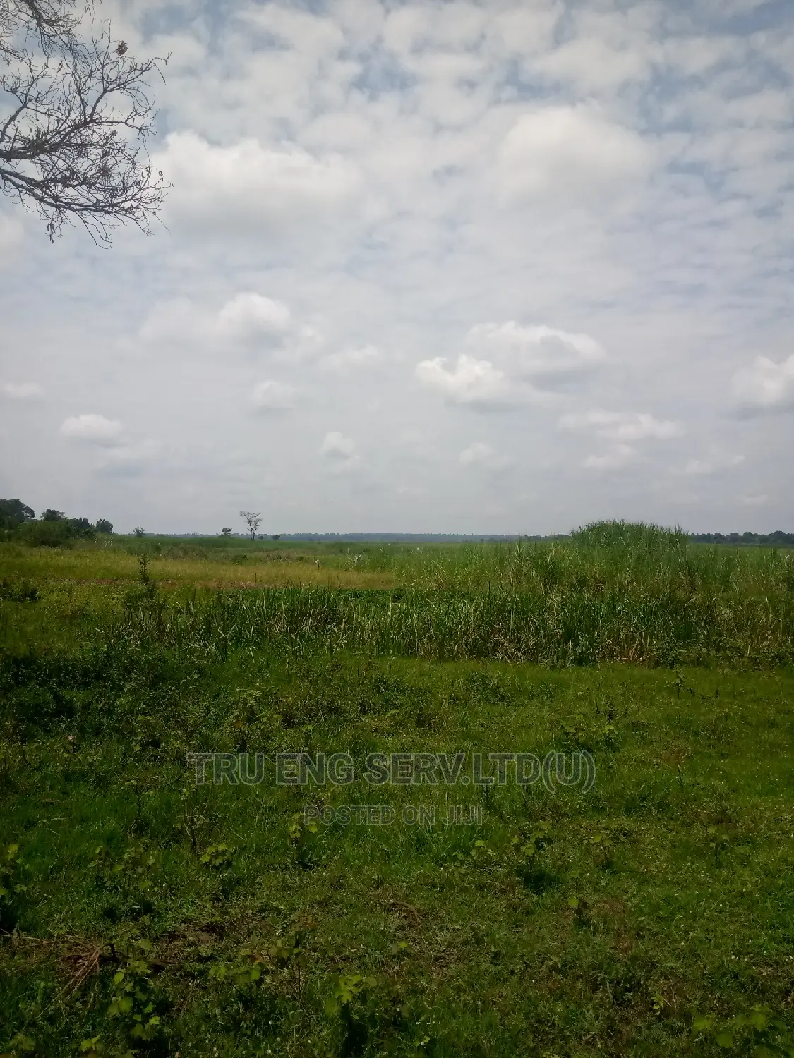 500 Acres With Land Title for Sale