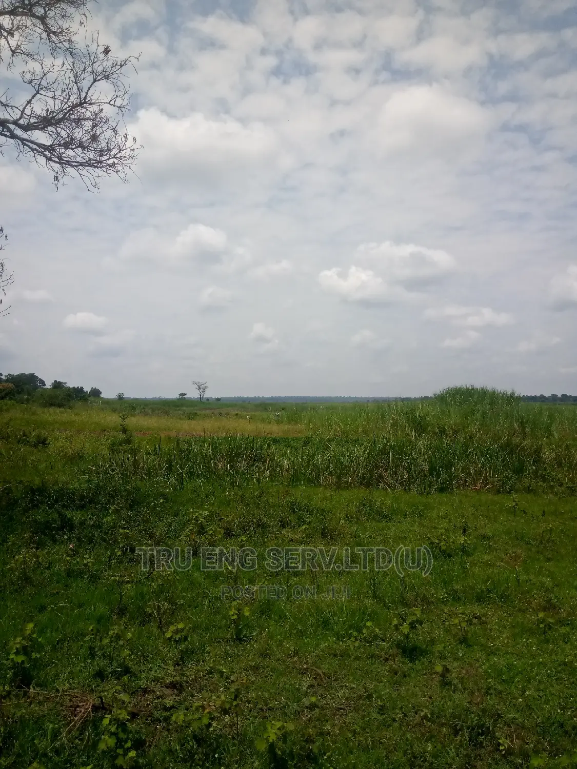 500 Acres With Land Title for Sale
