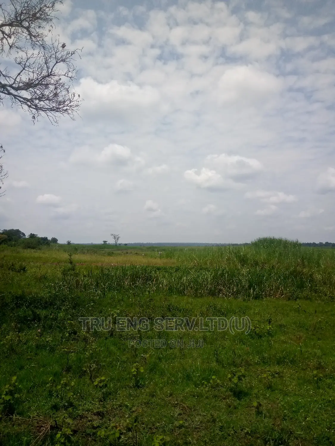 500 Acres With Land Title for Sale
