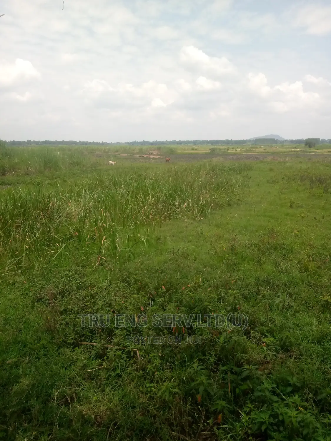 500 Acres With Land Title for Sale