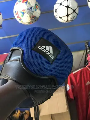 Boxing Pads