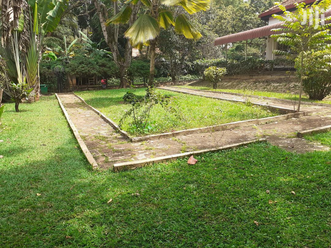 Three Bedroom House For Rent