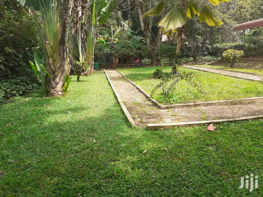 Three Bedroom House For Rent