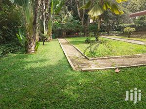 Three Bedroom House For Rent