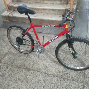 Japanise Bike