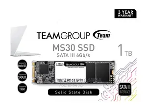 MS30 M.2 SATA Solid State Drive