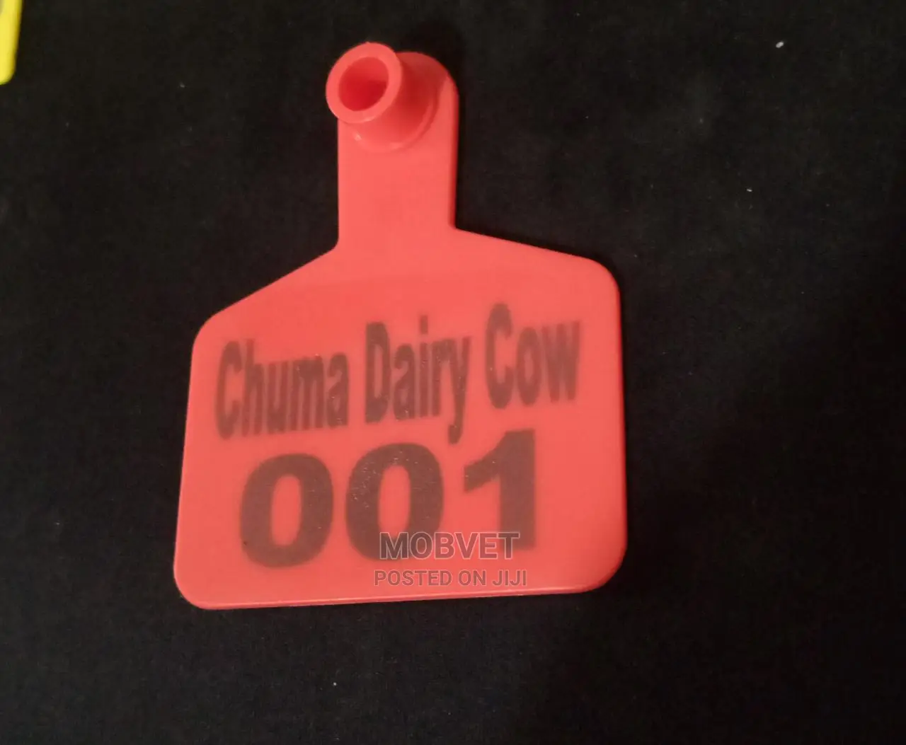 Customised Ear Tags (Sample)