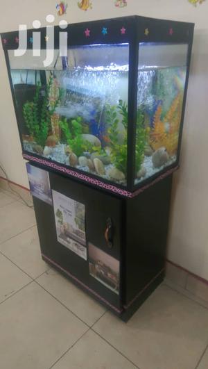 Photo - Aquariums In Uganda