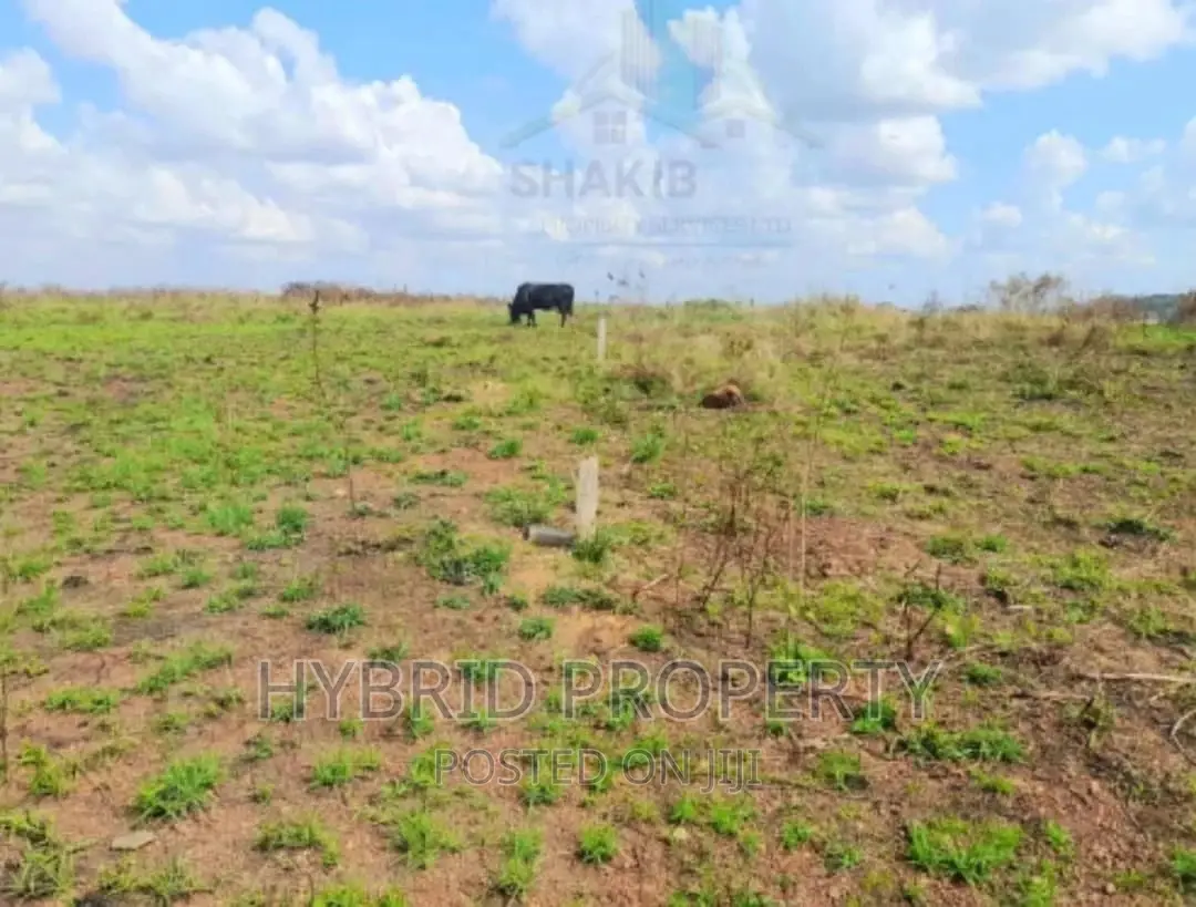 Plots for Sale at Gayaza~Nkoowe Hilltop Estate~Hoima Road.