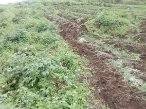 Nkonkonjeru 100 Acres for Sale