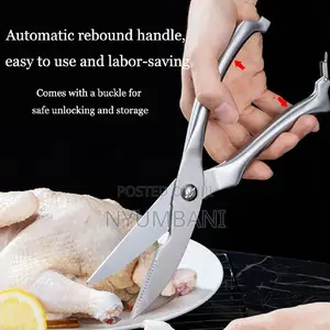 Kitchen Scissors