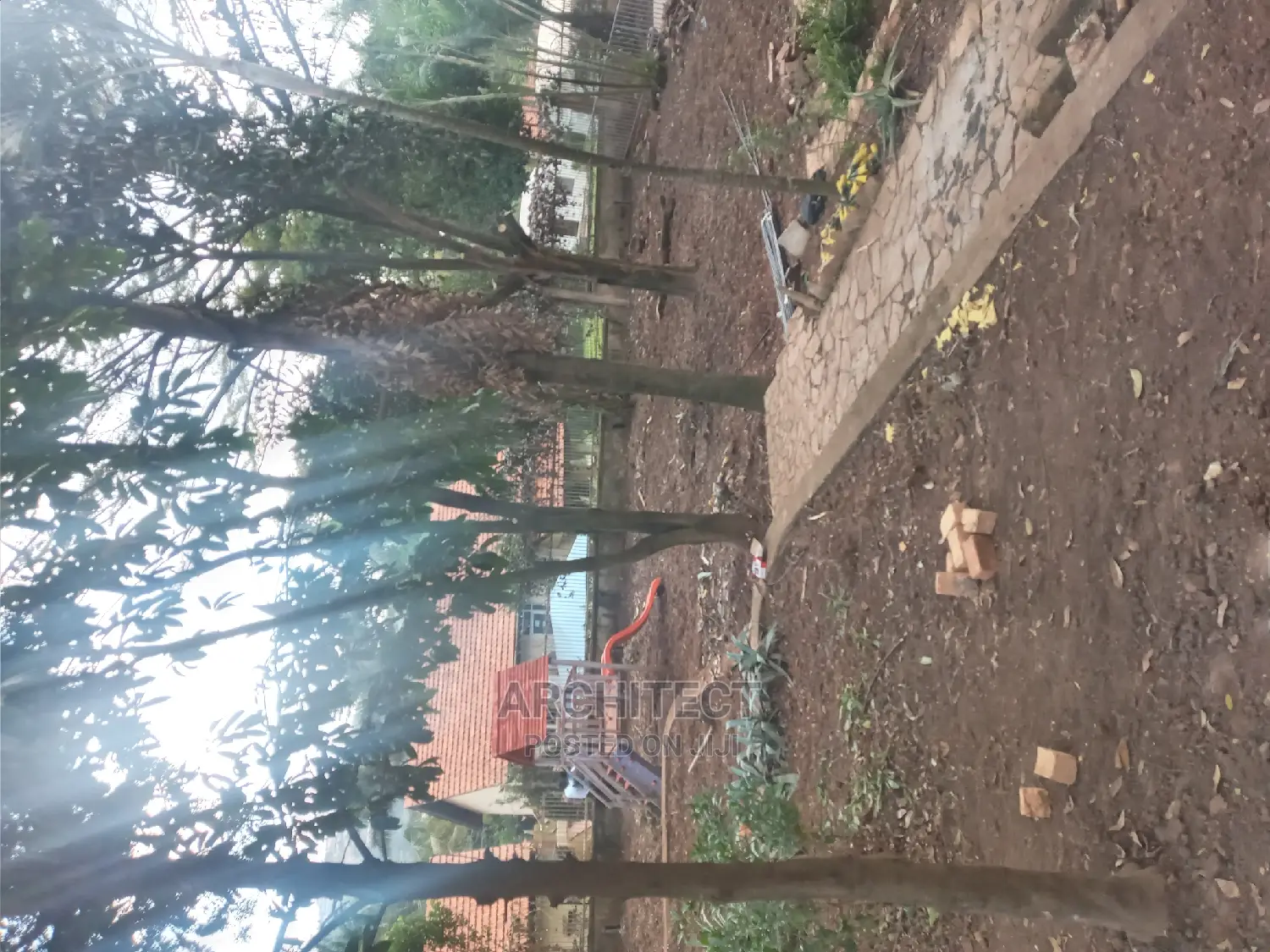 Landscaping and Gardening