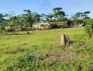 Prime Plots at Sala~Wakiso Land Estate~Hoima Road. For Sale