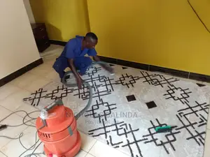 Vaccuming Carpet Cleaning