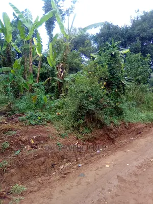 10 Acres of Land for Sale at 30m Per Acre in Nkokonjeru