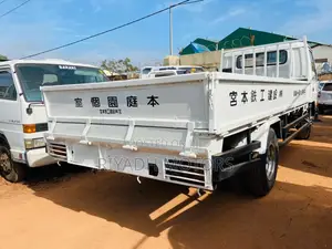 Canter Truck Ordinary