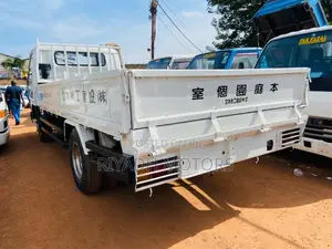 Canter Truck Ordinary
