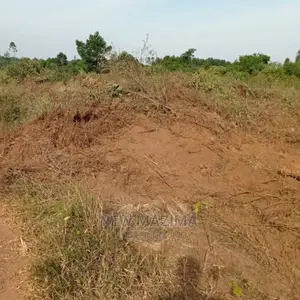 Kamengo Big Plot on Quicksale at Give Away Prices