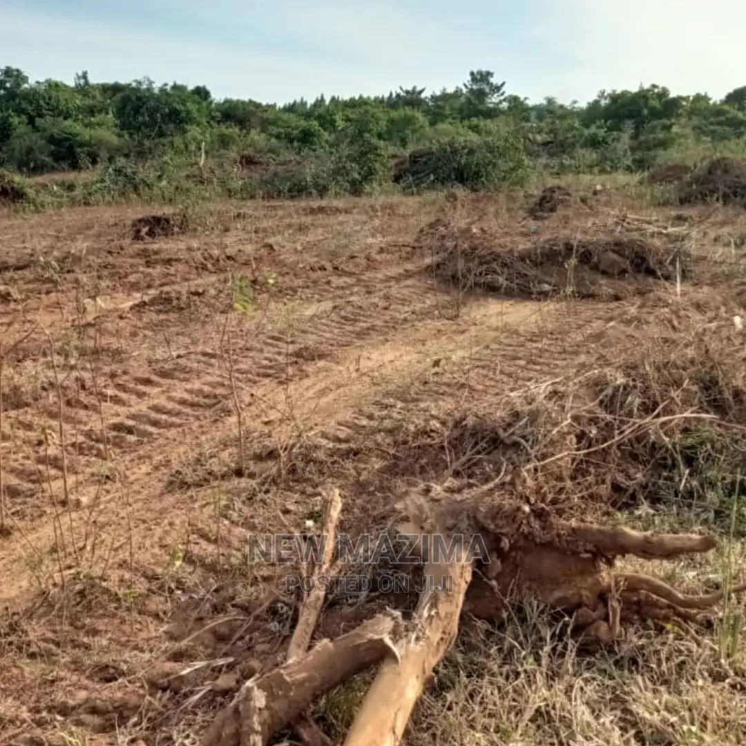 Kamengo Big Plot on Quicksale at Give Away Prices