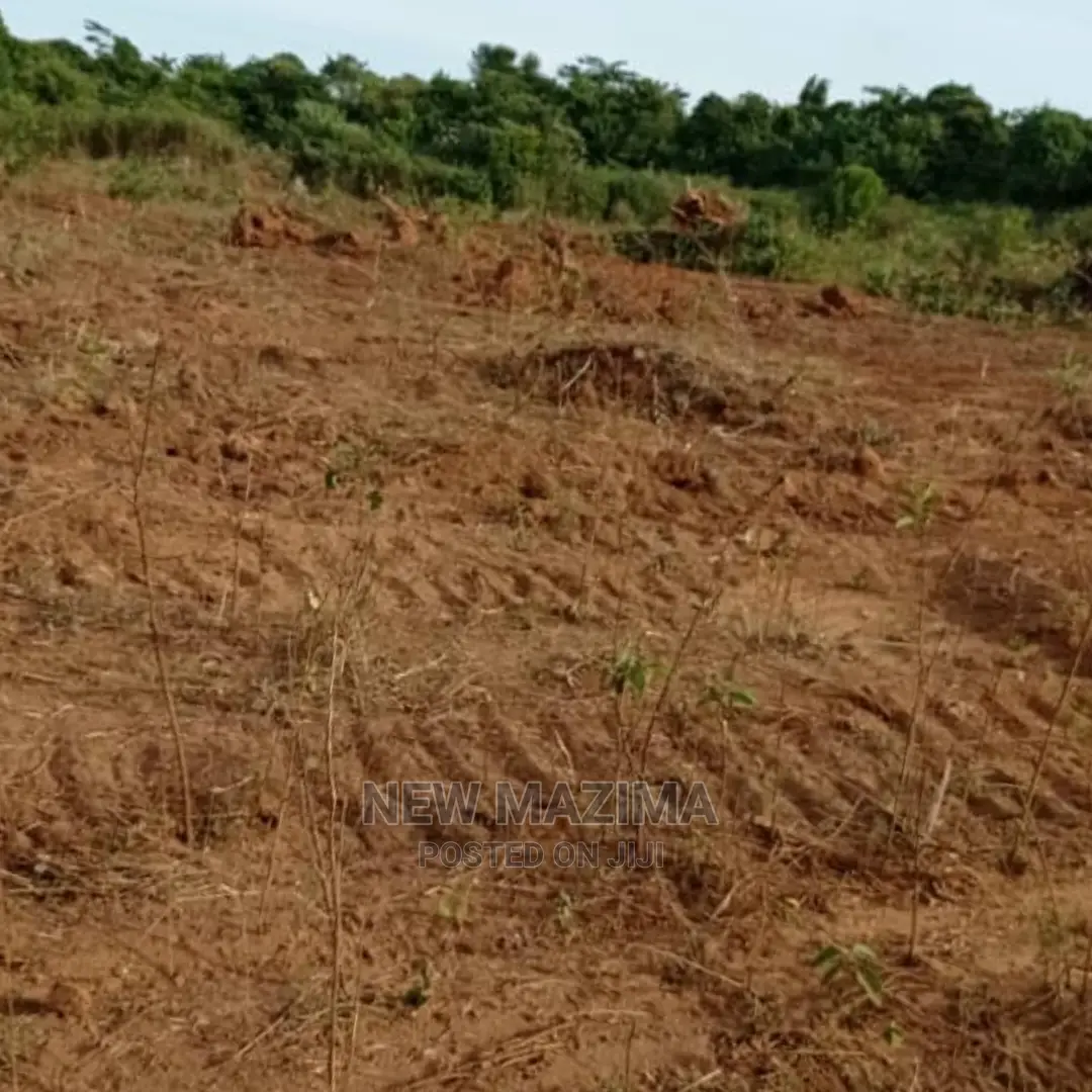 Kamengo Big Plot on Quicksale at Give Away Prices