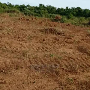 Kamengo Big Plot on Quicksale at Give Away Prices
