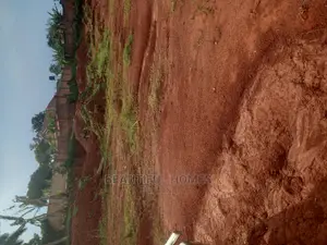 Kisaasi Komamboga Plots on Sell