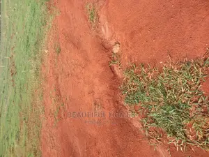 Kisaasi Komamboga Nice Pl