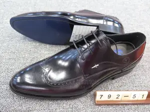 Mens Gentle Shoes