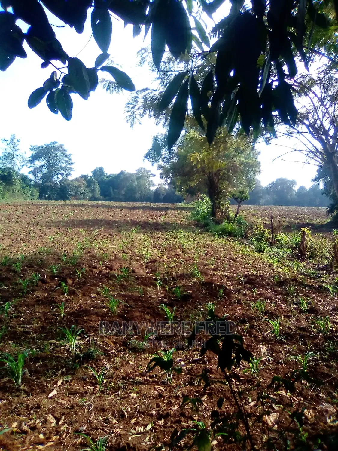 50/100 Plot For Sale In Nama