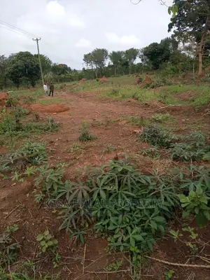 Titled Plots for Sell at Gombe T/N at 9M Am the Owner