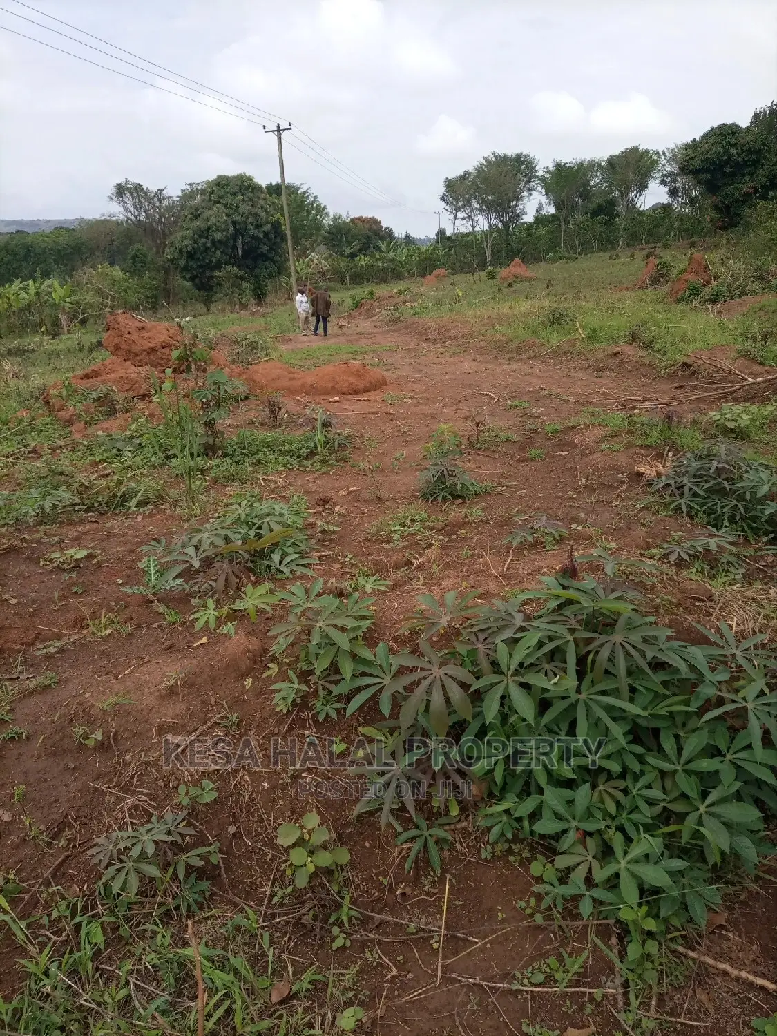 Titled Plots for Sell at Gombe T/N at 9M Am the Owner