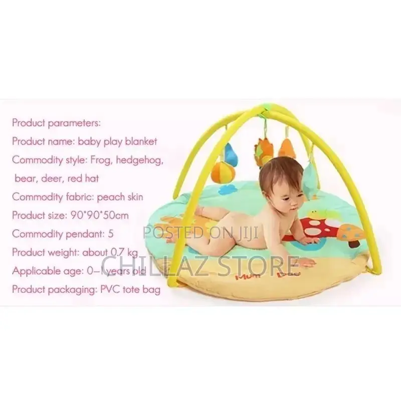 Baby Play Gym