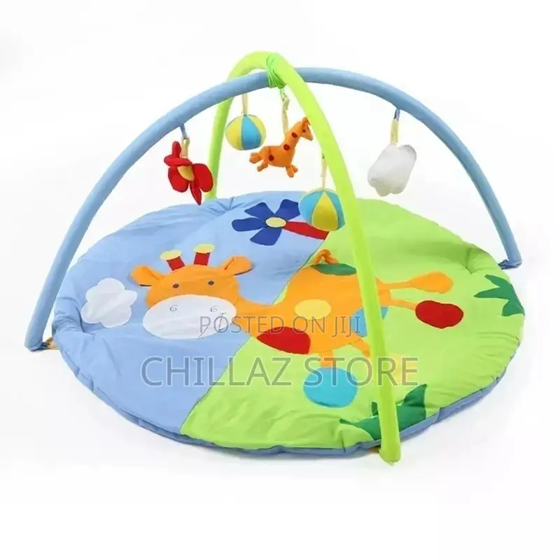 Baby Play Gym