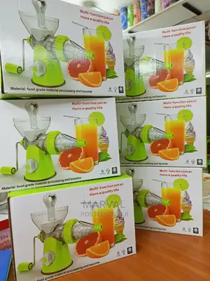 Multifunctional Juicer