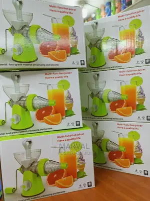 Multifunctional Juicer
