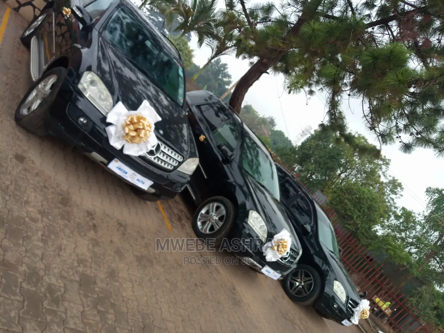 Wedding Benz Cars for Hire