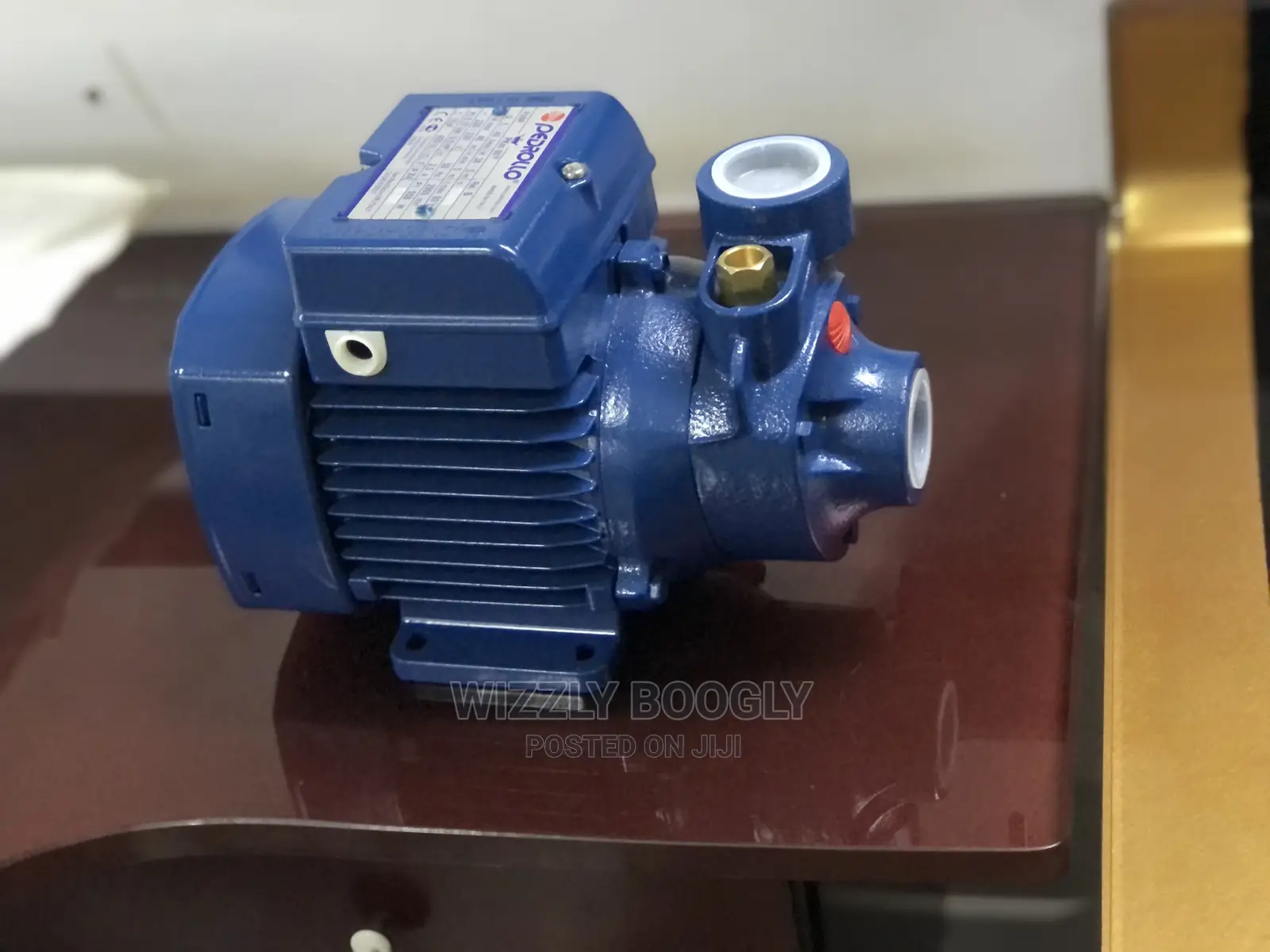 Pedrollo Surface Water Pumps 0.5HP