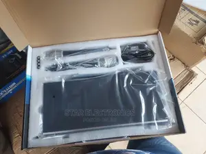 Professional Wireless Microphone System