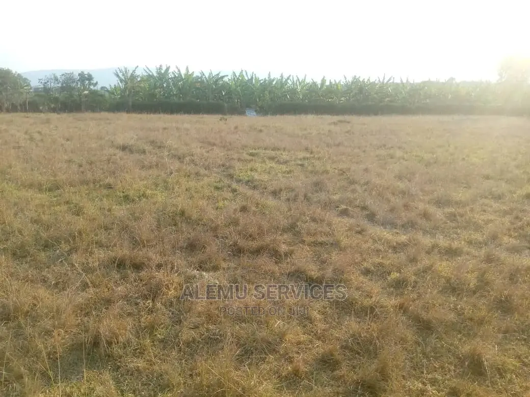 Land on Sell in Hoima Near Airport
