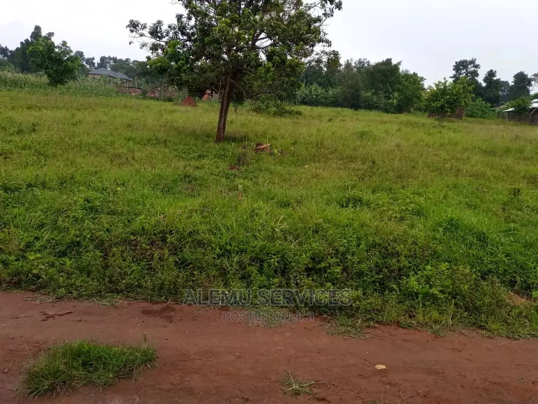Land on Sell in Hoima Near Airport