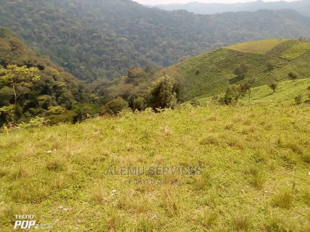 Land on Sell in Hoima Near Airport