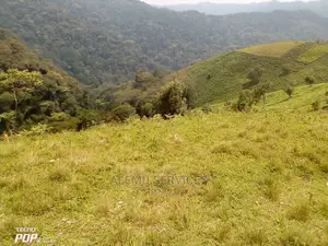 Land on Sell in Hoima Near Airport