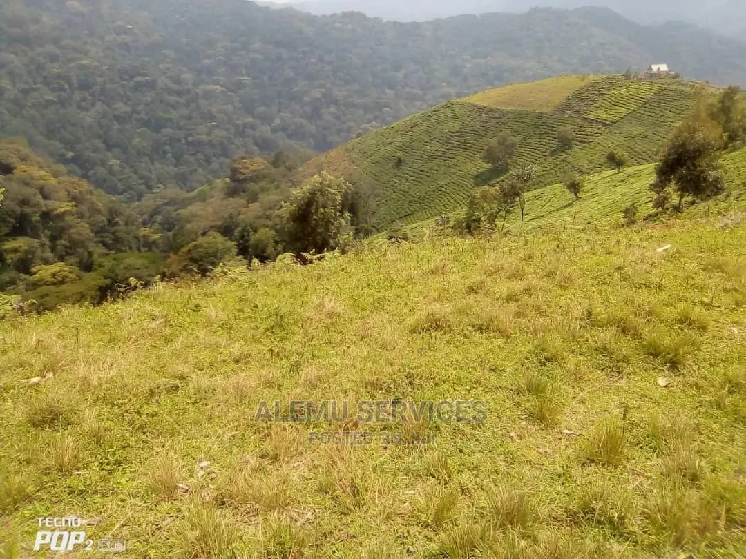 Land on Sell in Hoima Near Airport