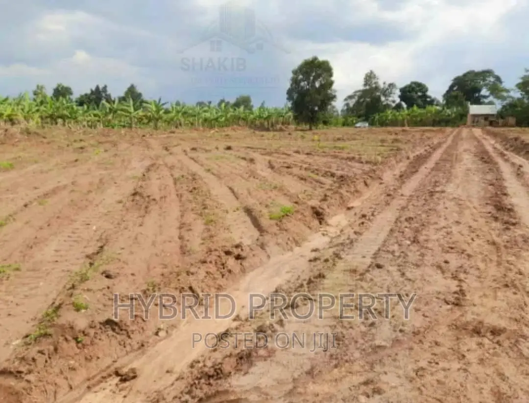 Plots for Sale at Our New Namayumba Land Estate~Hoima Road.