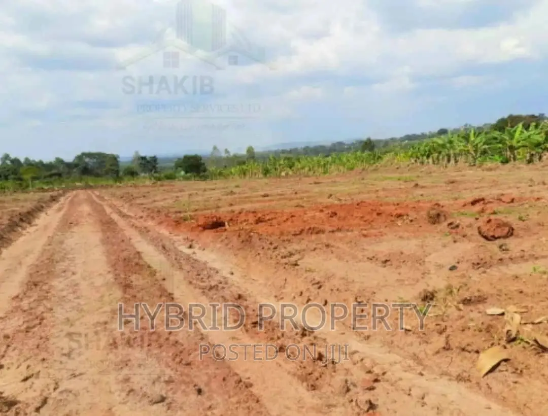 Plots for Sale at Our New Namayumba Land Estate~Hoima Road.
